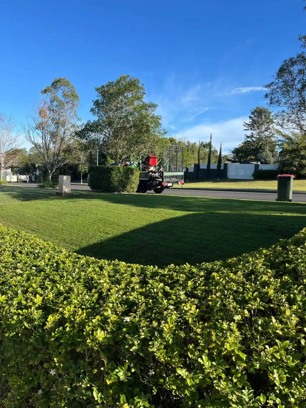 Lawn Mowing in Maitland NSW