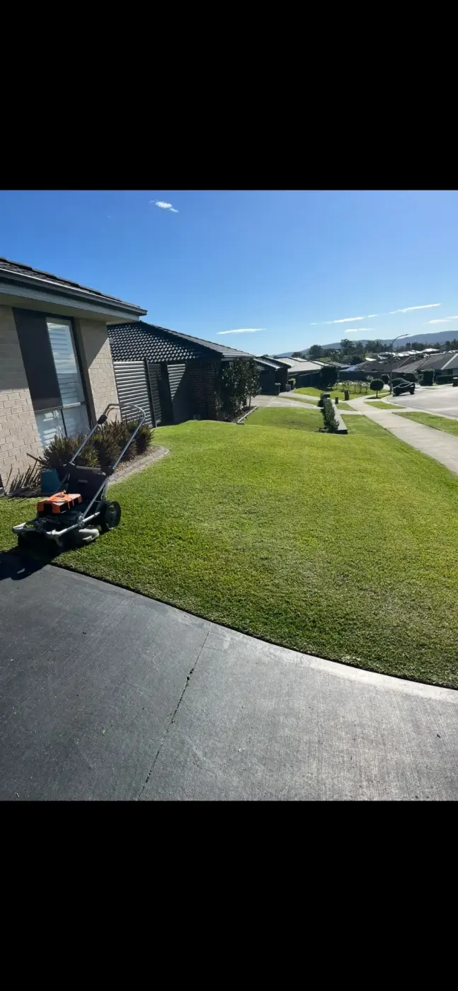 Lawn Treatments in Maitland NSW