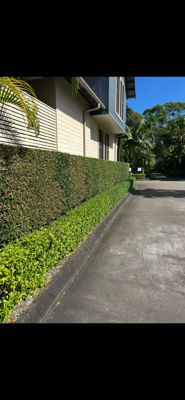 Strata hedge maintenance