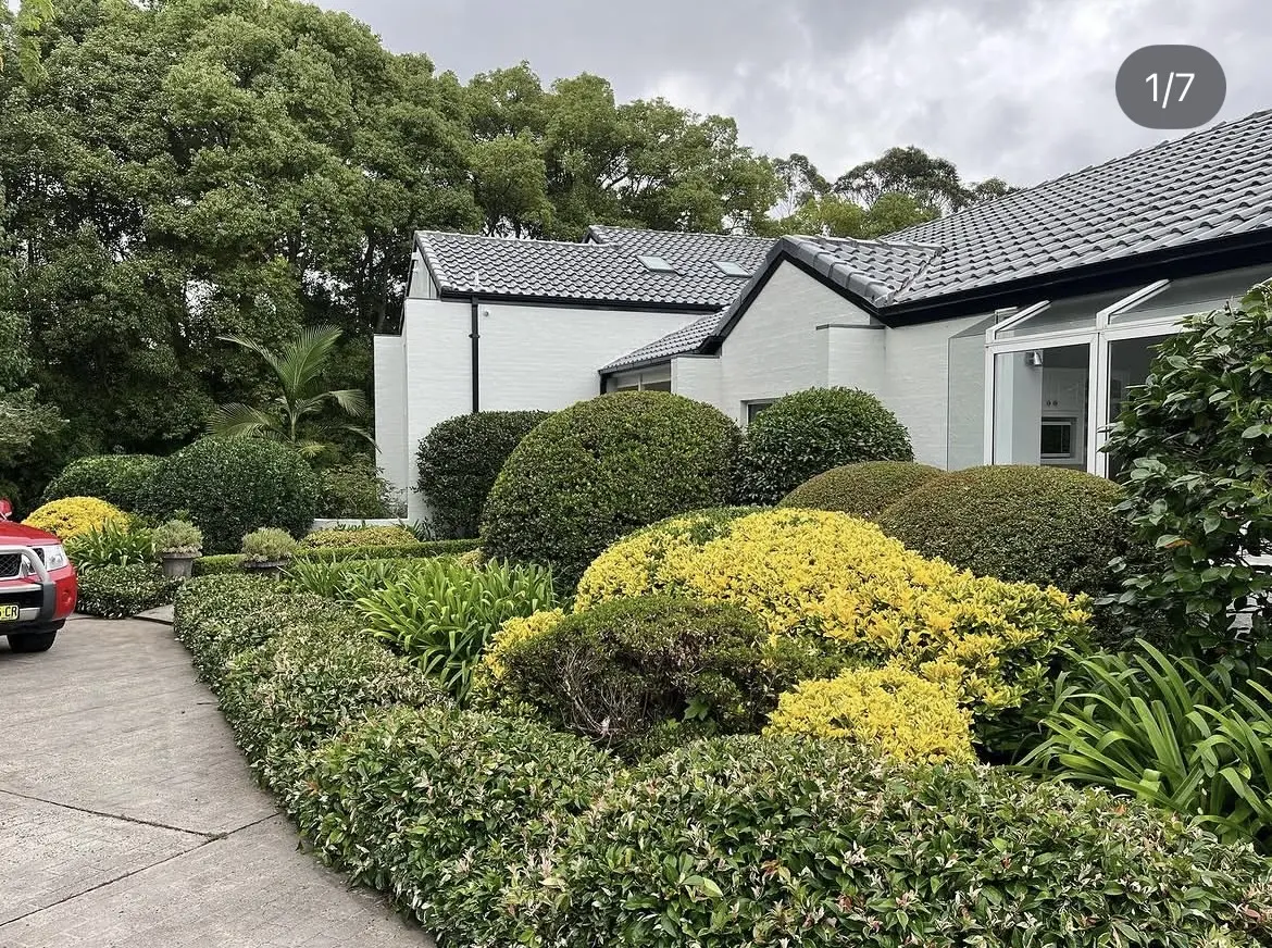 Garden maintenance Maitland