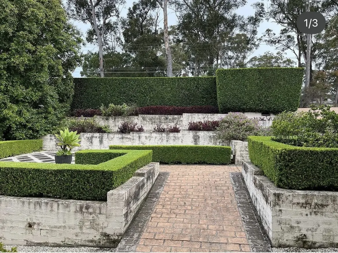 Garden Maintenance in Maitland NSW