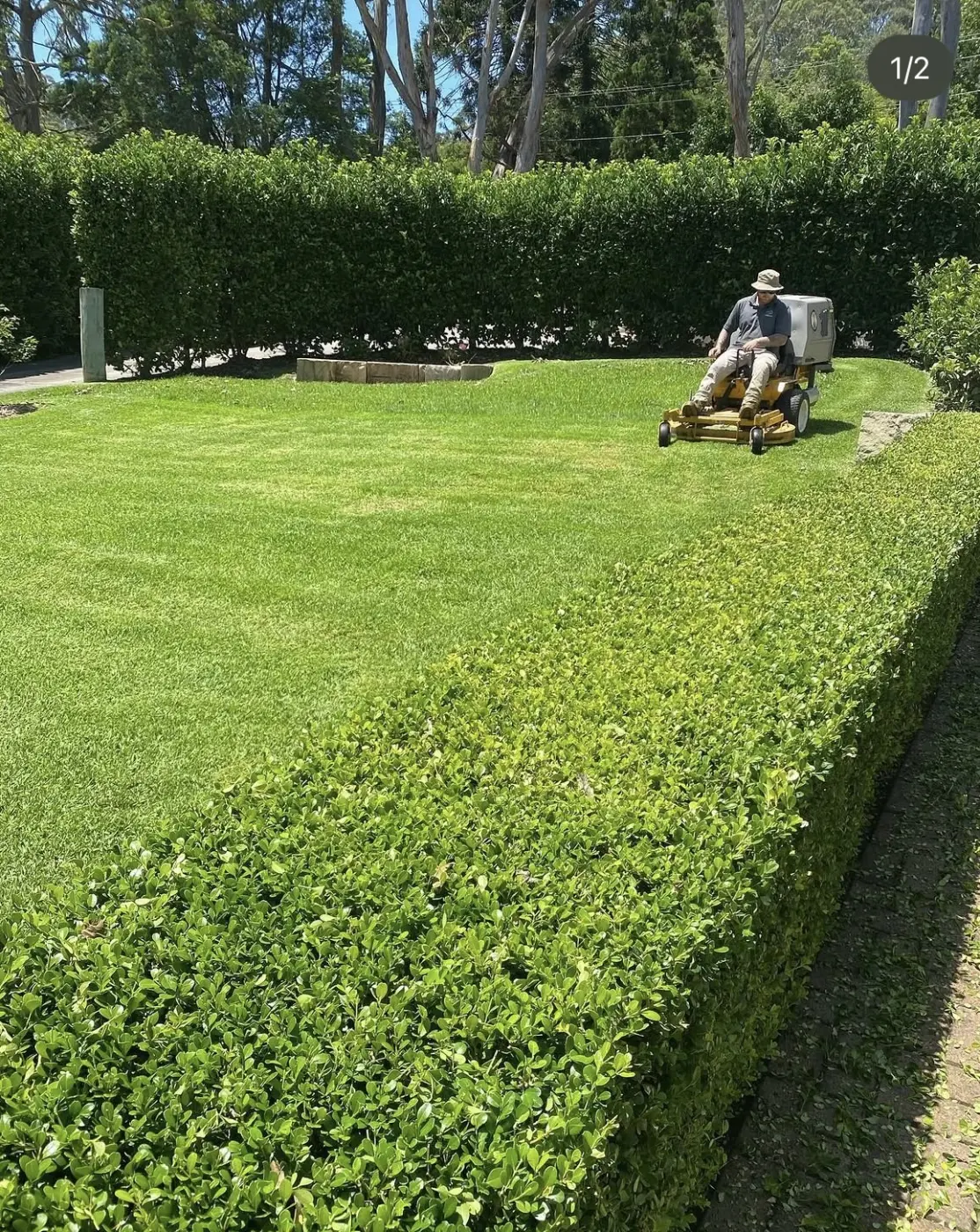 Precision hedging Maitland