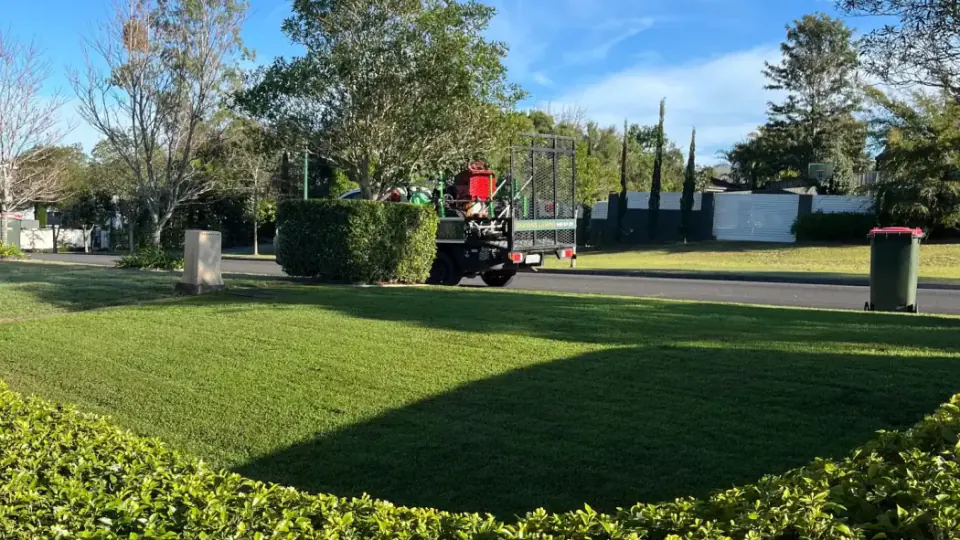 Lawn Mowing Central Coast in Maitland NSW